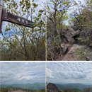제906회차 12/3 울산 천황산(1,189 m) 및 밀양제약산(1,119 m)산행(케이블카이용)예약신청 이미지
