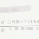 더봄날에 이미지