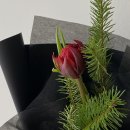 시공간플라워스튜디오 이미지