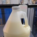 뽀대난 멍냥이 이미지