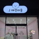 J애견미용 | 강아지를 위한 서산애견미용실 J애견미용 강아지미용 잘하는곳 추천해요