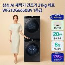 삼성 AI 세탁기 건조기 21kg 세트 WF21DG6650BV 실구매자 리얼 후기 추천 1등급 가전 할인 혜택