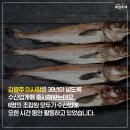 해담수산 네이버블로그