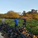 황진농장 이미지