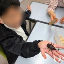 대천리초교 이미지