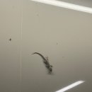 소요파출소 화장실 | [방콕] 아속역 출발 아유타야 선셋투어 내돈내산 솔직후기 (+복장규정, 사진꿀팁)