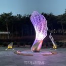 솔의정원 이미지