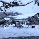 봉현서부초등학교 이미지