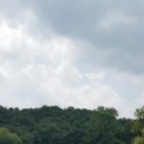 미스타페오 이미지