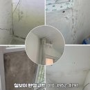 무지개건물관리 이미지