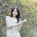 왕성광고 이미지