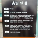 부산시립시민도서관 | 부산광역시립 시민도서관 아이와 가볼만한 곳 이용정보 총정리
