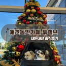 (주)휘드베스트 | [리뷰]천안 애견동반 대형 베이커리카페 '투웰브' 내돈내산 솔직후기