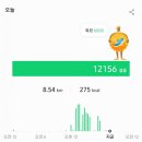 해피트리 동물병원 이미지