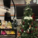 다케오호르몬데판야끼(문래점) | 문래 다케오 호르몬 데판야끼 문래점 솔직 후기 / 연말에 가기 딱 좋은 곳 (내돈내산)