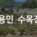 양지-3554 이미지