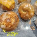 비비엘베이글