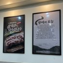 5669 | 부산장어무한리필 부산맛집 노천민물장어 부산온천본점 강추 후기!