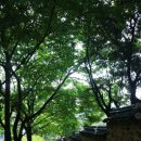 김류선생묘역 이미지