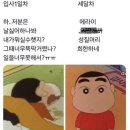 코알라즉석떡볶이