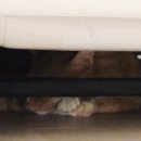 노을담집 이미지