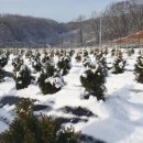 유계리 농장 이미지