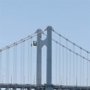 그린피스약국 이미지