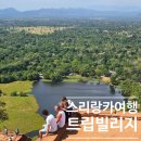 빌리지 | 스리랑카 여행 시기 추천, 트립빌리지 스리랑카 후기 완벽 정리