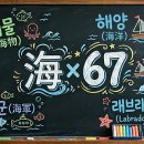 바다로해海