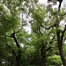 2025년 7월19(토) 의정부교구관할 도보성지순례 -파주장릉역사탐방, 갈곡리성당 이미지