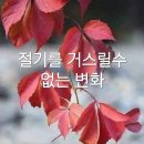 정신일도 하사불성 이미지