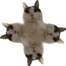 뿌슝빠슝 PC방 이미지