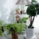 그루밍나인 | 캣나인 이너무바 고양이집 | 스트레스 낮추는 고양이 안식처