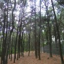 수명산근린공원 다목적체육관 이미지