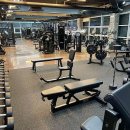 뉴파워짐 이미지