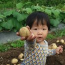 노적애뜰 이미지