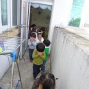 신지지 이미지
