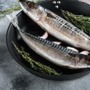 레드핏 휘트니스 이미지