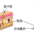 샘사우나 이미지