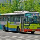 대전시내버스 노선 및 시간표 이미지