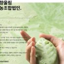광주무등산춘설차영농조합법인 | [보성군] 마을기업 다향울림영농조합법인