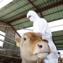 구성사슴농장 이미지