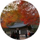 [공주팸투어 ⑥/⑥] 마곡사