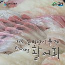 봉포활어회센터 이미지