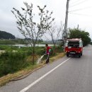 관수조경 이미지