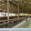 남해암소한마당 이미지