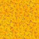 화자농장 이미지