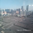 네스트웨딩홀뷔페3 | 🕊 네스트웨딩홀 1층 시에나홀 26년 1월 하객후기 주차 ATM 뷔페 밥 진짜 맛있는 충주웨딩홀