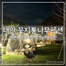꽃지통나무펜션