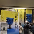 인전 | [일본] 국립나라박물관 제77회 쇼소인전(정창원전) 관람 후기(일본 나라 여행, 일본 박물관, 교토 근교...